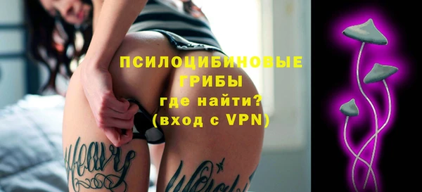 ешки Арсеньев