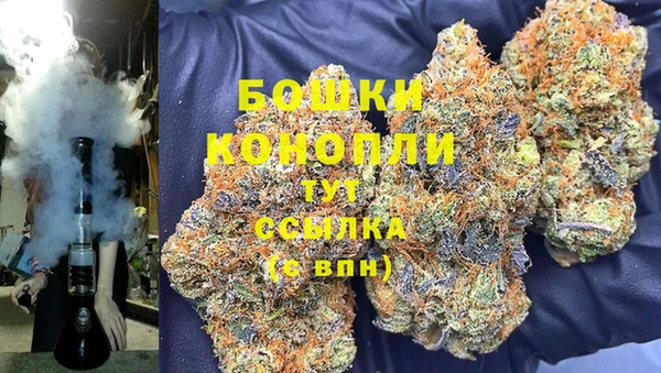 ешки Арсеньев