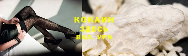 ешки Арсеньев
