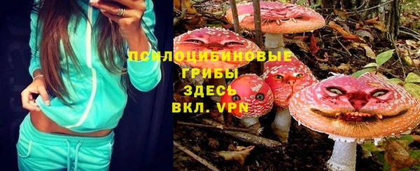 тгк Аркадак