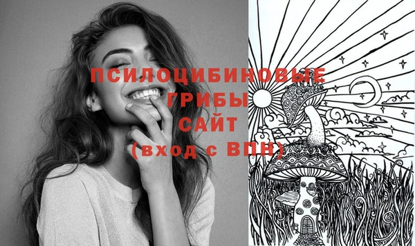 тгк Аркадак