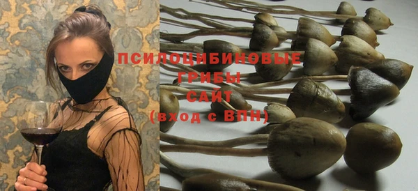 тгк Аркадак