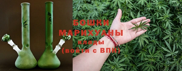 ешки Арсеньев