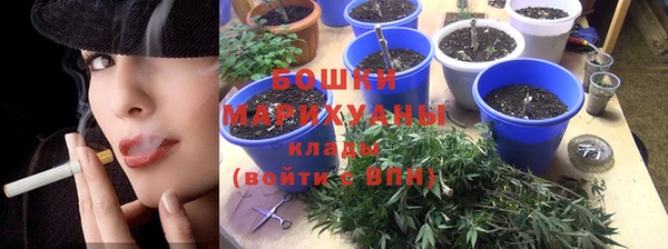 ешки Арсеньев