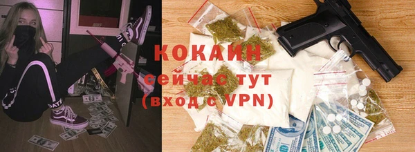 ешки Арсеньев