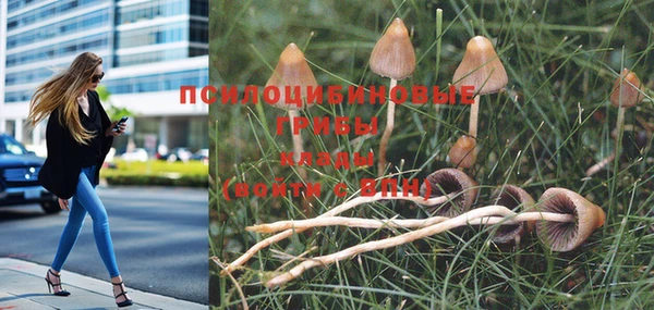 ешки Арсеньев