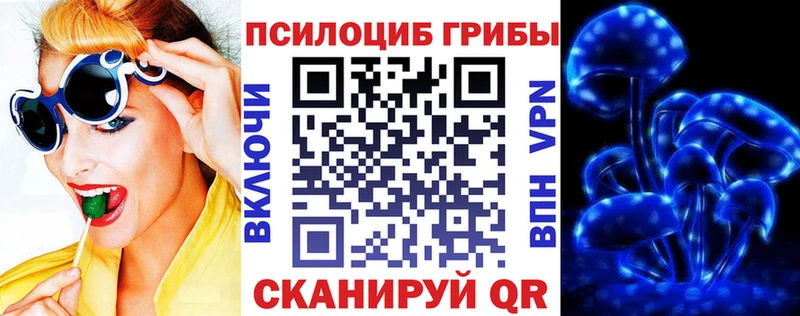 Галлюциногенные грибы Magic Shrooms  hydra онион  Сурск  магазин продажи наркотиков 